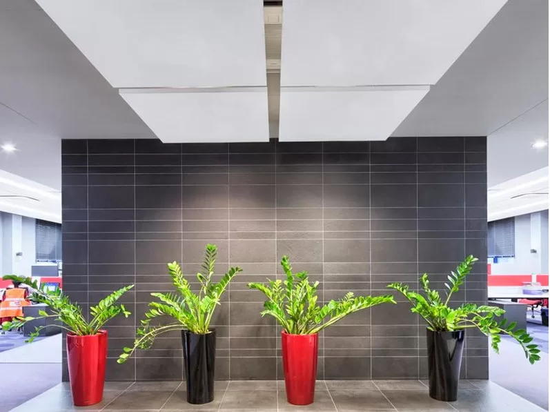 Ecophon Solo™ Square Basic